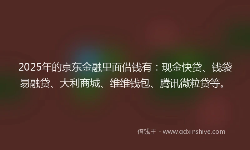2025年的京东金融里面借钱有：现金快贷、钱袋易融贷、大利商城、维维钱包、腾讯微粒贷等。