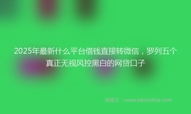2025年最新什么平台借钱直接转微信，罗列五个真正无视风控黑白的网贷口子