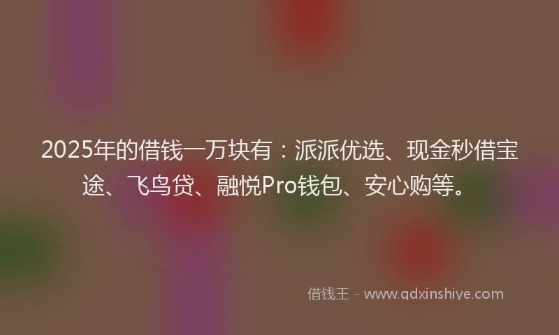 2025年的借钱一万块有：派派优选、现金秒借宝途、飞鸟贷、融悦Pro钱包、安心购等。