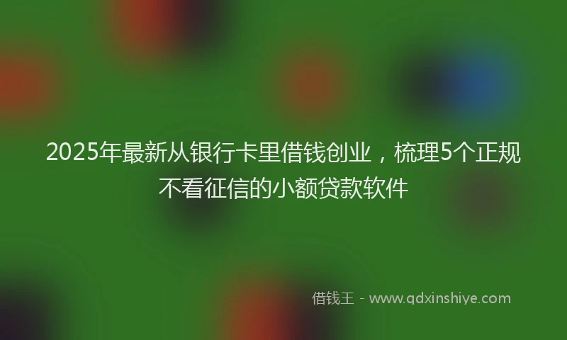 2025年最新从银行卡里借钱创业，梳理5个正规不看征信的小额贷款软件