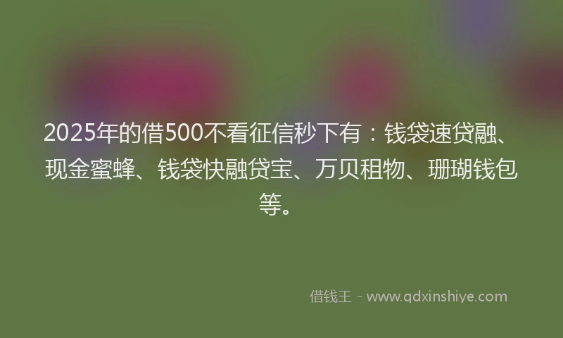 2025年的借500不看征信秒下有：钱袋速贷融、现金蜜蜂、钱袋快融贷宝、万贝租物、珊瑚钱包等。