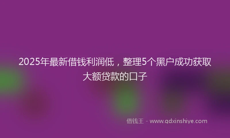2025年最新借钱利润低，整理5个黑户成功获取大额贷款的口子