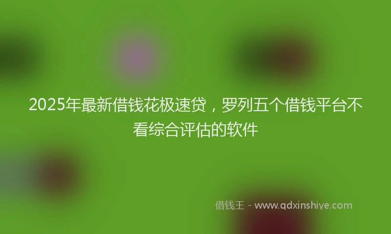 2025年最新借钱花极速贷，罗列五个借钱平台不看综合评估的软件