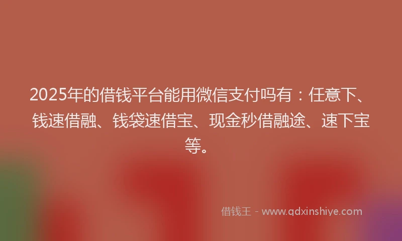 2025年的借钱平台能用微信支付吗有：任意下、钱速借融、钱袋速借宝、现金秒借融途、速下宝等。