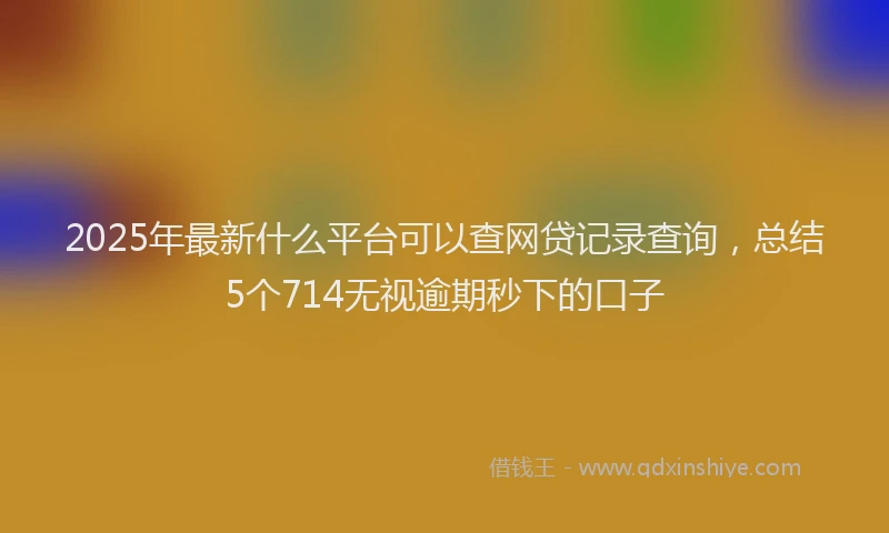 2025年最新什么平台可以查网贷记录查询，总结5个714无视逾期秒下的口子