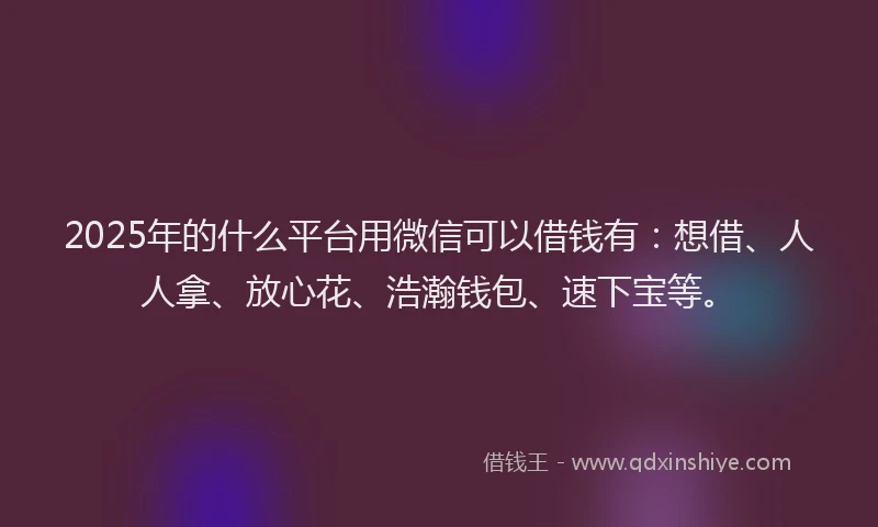 2025年的什么平台用微信可以借钱有：想借、人人拿、放心花、浩瀚钱包、速下宝等。