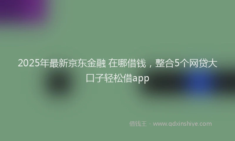 2025年最新京东金融 在哪借钱，整合5个网贷大口子轻松借app