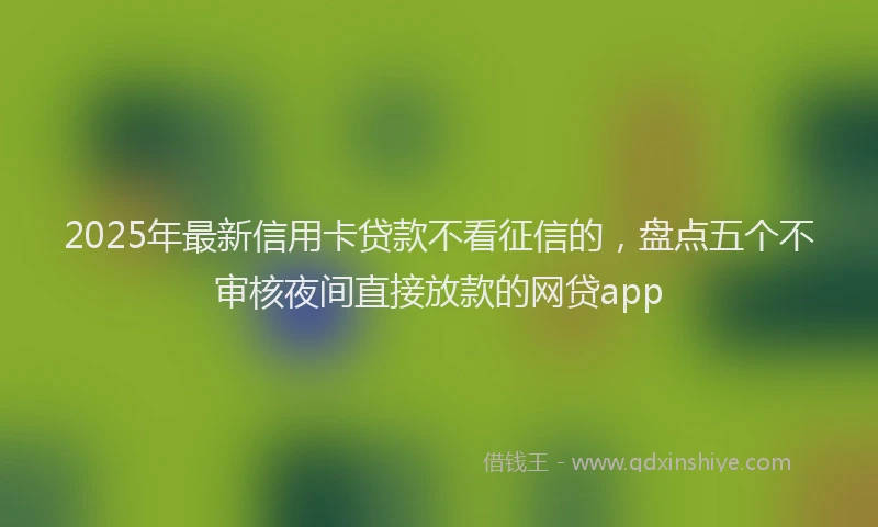 2025年最新信用卡贷款不看征信的，盘点五个不审核夜间直接放款的网贷app
