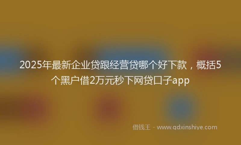 2025年最新企业贷跟经营贷哪个好下款，概括5个黑户借2万元秒下网贷口子app