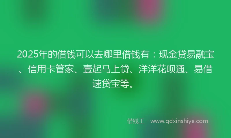 2025年的借钱可以去哪里借钱有：现金贷易融宝、信用卡管家、壹起马上贷、洋洋花呗通、易借速贷宝等。