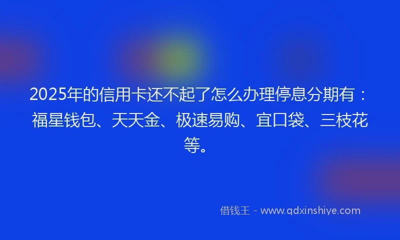 2025年的信用卡还不起了怎么办理停息分期有：福星钱包、天天金、极速易购、宜口袋、三枝花等。