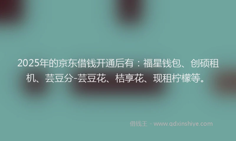 2025年的京东借钱开通后有：福星钱包、创硕租机、芸豆分-芸豆花、桔享花、现租柠檬等。