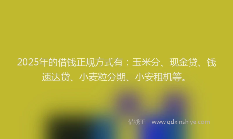 2025年的借钱正规方式有：玉米分、现金贷、钱速达贷、小麦粒分期、小安租机等。