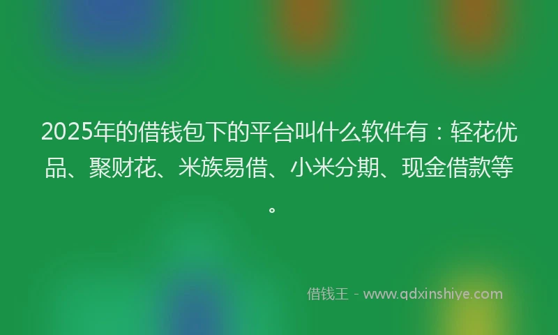 2025年的借钱包下的平台叫什么软件有：轻花优品、聚财花、米族易借、小米分期、现金借款等。