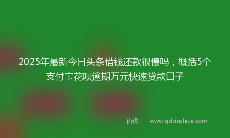 2025年最新今日头条借钱还款很慢吗，概括5个支付宝花呗逾期万元快速贷款口子