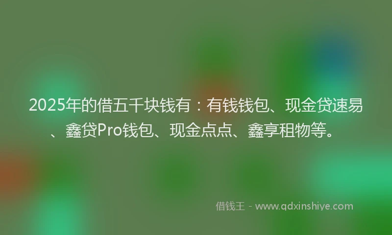 2025年的借五千块钱有：有钱钱包、现金贷速易、鑫贷Pro钱包、现金点点、鑫享租物等。