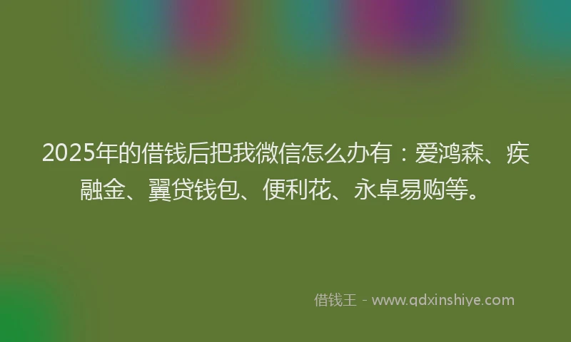 2025年的借钱后把我微信怎么办有：爱鸿森、疾融金、翼贷钱包、便利花、永卓易购等。