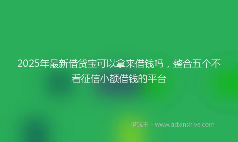 2025年最新借贷宝可以拿来借钱吗，整合五个不看征信小额借钱的平台