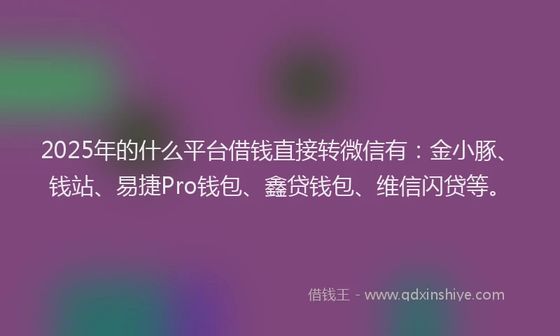 2025年的什么平台借钱直接转微信有：金小豚、钱站、易捷Pro钱包、鑫贷钱包、维信闪贷等。