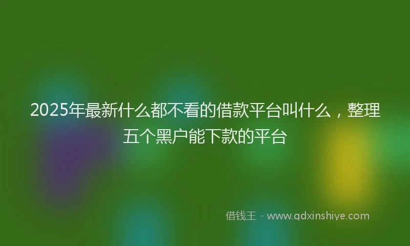 2025年最新什么都不看的借款平台叫什么，整理五个黑户能下款的平台