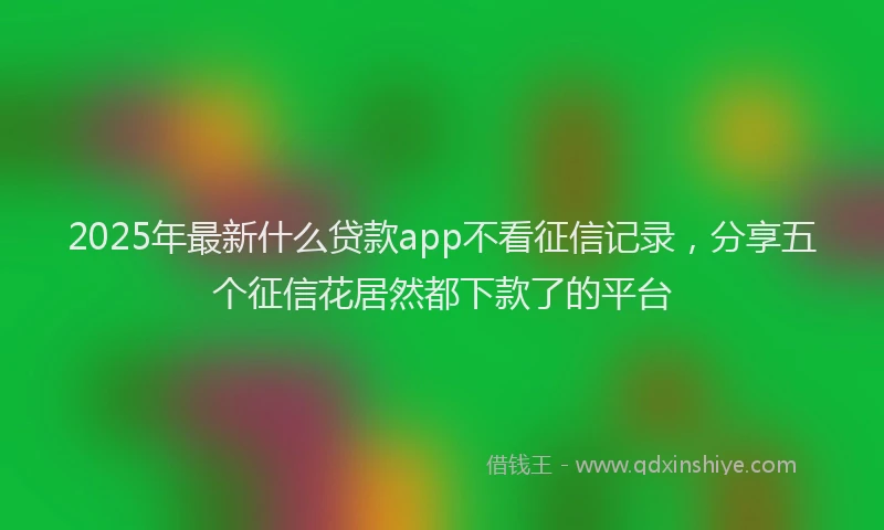 2025年最新什么贷款app不看征信记录，分享五个征信花居然都下款了的平台