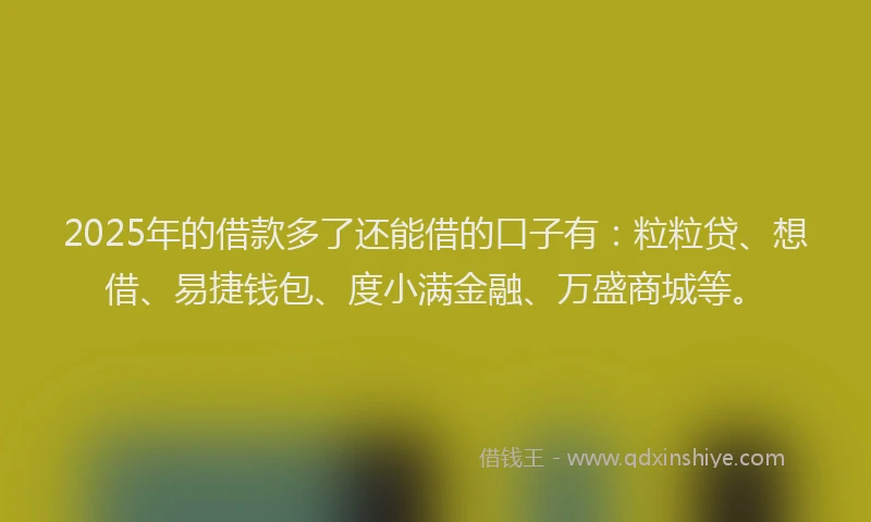 2025年的借款多了还能借的口子有：粒粒贷、想借、易捷钱包、度小满金融、万盛商城等。