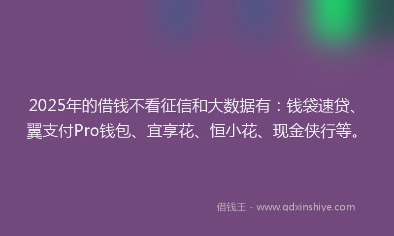 2025年的借钱不看征信和大数据有：钱袋速贷、翼支付Pro钱包、宜享花、恒小花、现金侠行等。