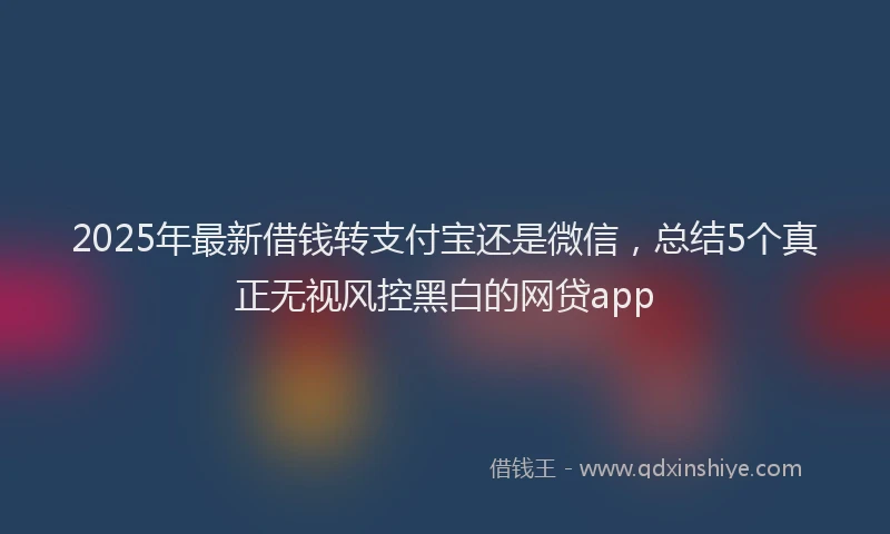 2025年最新借钱转支付宝还是微信，总结5个真正无视风控黑白的网贷app