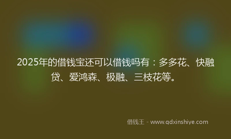 2025年的借钱宝还可以借钱吗有：多多花、快融贷、爱鸿森、极融、三枝花等。