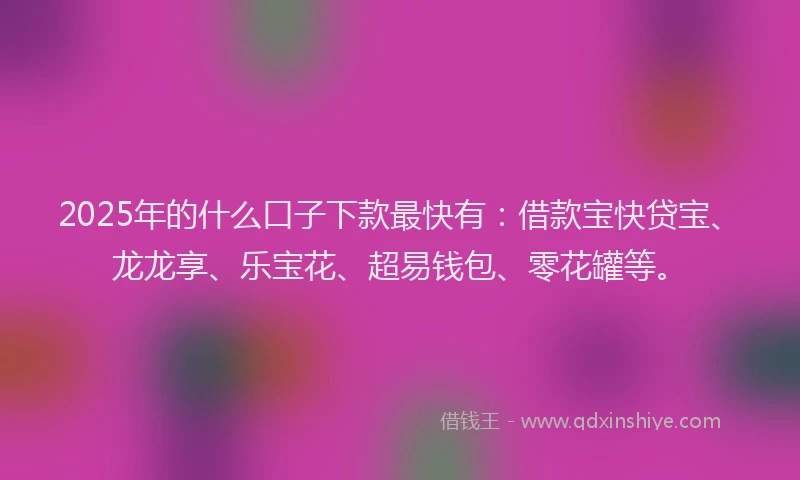 2025年的什么口子下款最快有：借款宝快贷宝、龙龙享、乐宝花、超易钱包、零花罐等。