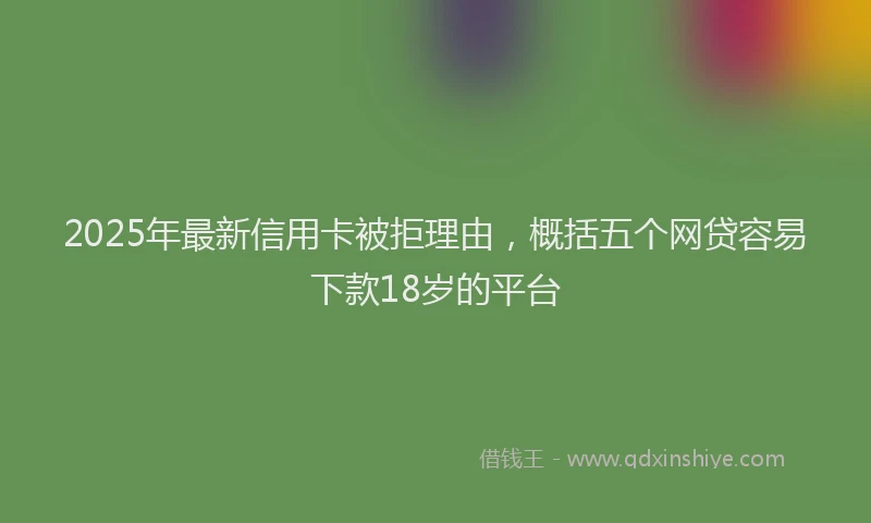 2025年最新信用卡被拒理由，概括五个网贷容易下款18岁的平台