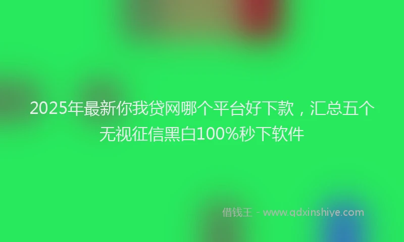 2025年最新你我贷网哪个平台好下款，汇总五个无视征信黑白100%秒下软件