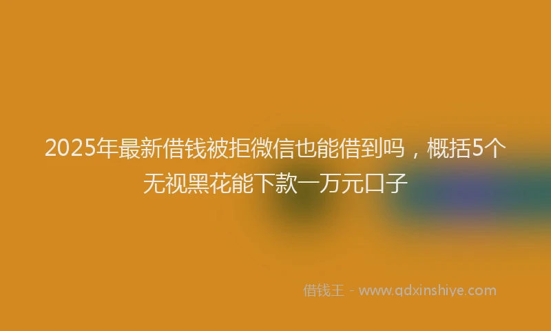 2025年最新借钱被拒微信也能借到吗，概括5个无视黑花能下款一万元口子