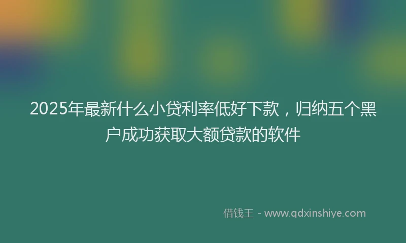 2025年最新什么小贷利率低好下款，归纳五个黑户成功获取大额贷款的软件