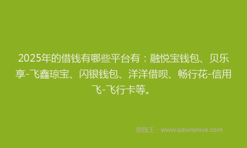 2025年的借钱有哪些平台有：融悦宝钱包、贝乐享-飞鑫琼宝、闪银钱包、洋洋借呗、畅行花-信用飞-飞行卡等。