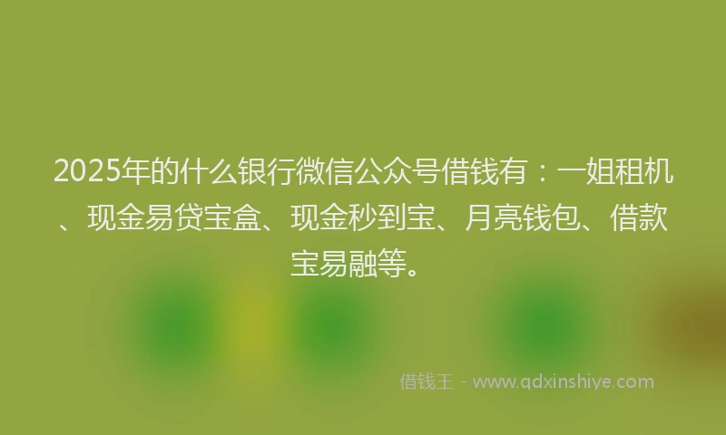 2025年的什么银行微信公众号借钱有：一姐租机、现金易贷宝盒、现金秒到宝、月亮钱包、借款宝易融等。