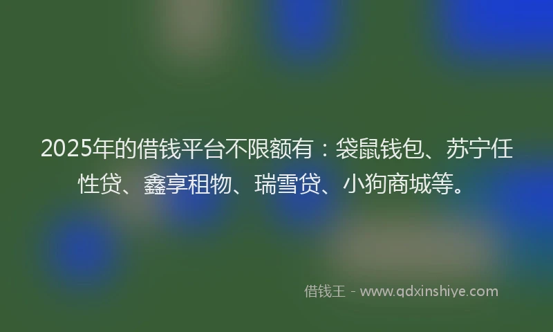 2025年的借钱平台不限额有：袋鼠钱包、苏宁任性贷、鑫享租物、瑞雪贷、小狗商城等。
