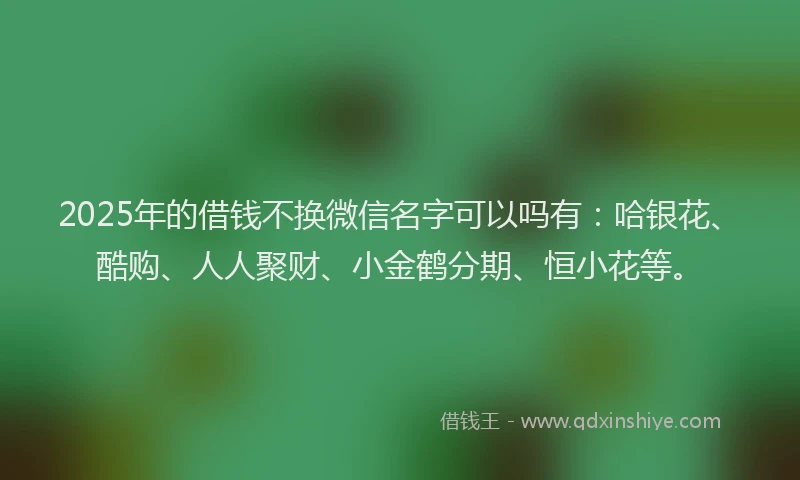2025年的借钱不换微信名字可以吗有：哈银花、酷购、人人聚财、小金鹤分期、恒小花等。
