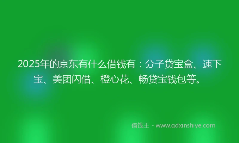 2025年的京东有什么借钱有：分子贷宝盒、速下宝、美团闪借、橙心花、畅贷宝钱包等。