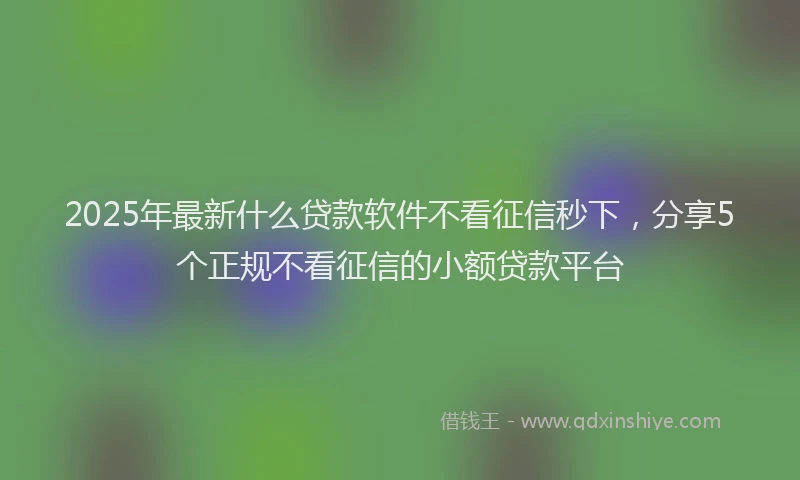 2025年最新什么贷款软件不看征信秒下，分享5个正规不看征信的小额贷款平台