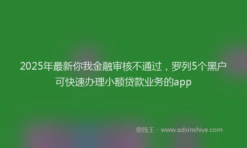 2025年最新你我金融审核不通过，罗列5个黑户可快速办理小额贷款业务的app