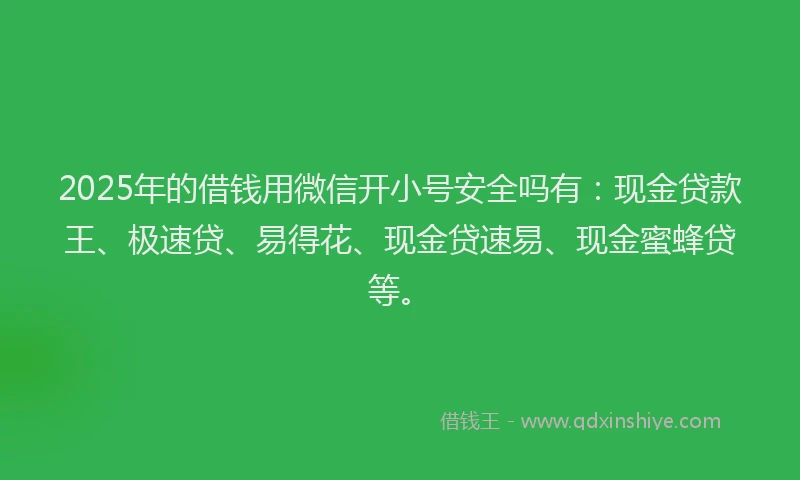 2025年的借钱用微信开小号安全吗有：现金贷款王、极速贷、易得花、现金贷速易、现金蜜蜂贷等。