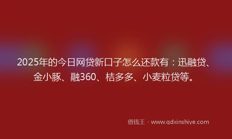 2025年的今日网贷新口子怎么还款有：迅融贷、金小豚、融360、桔多多、小麦粒贷等。