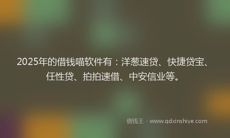 2025年的借钱喵软件有：洋葱速贷、快捷贷宝、任性贷、拍拍速借、中安信业等。