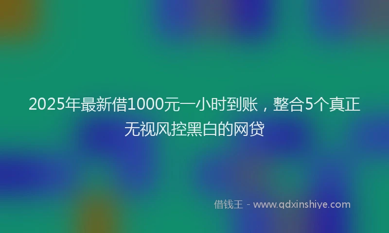 2025年最新借1000元一小时到账，整合5个真正无视风控黑白的网贷
