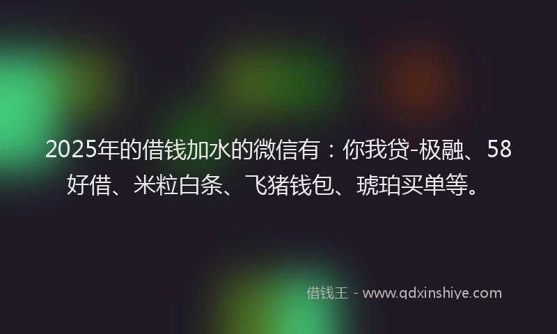 2025年的借钱加水的微信有：你我贷-极融、58好借、米粒白条、飞猪钱包、琥珀买单等。