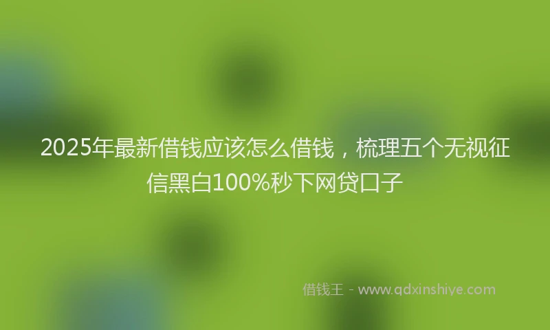 2025年最新借钱应该怎么借钱，梳理五个无视征信黑白100%秒下网贷口子