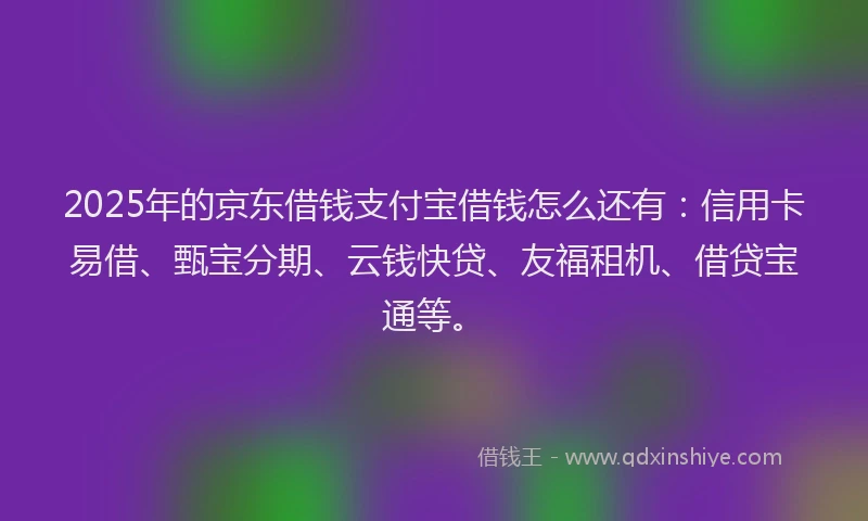 2025年的京东借钱支付宝借钱怎么还有：信用卡易借、甄宝分期、云钱快贷、友福租机、借贷宝通等。