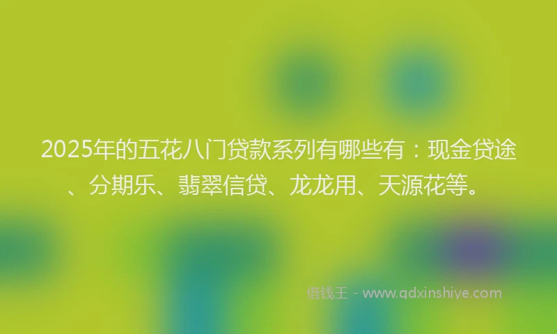 2025年的五花八门贷款系列有哪些有：现金贷途、分期乐、翡翠信贷、龙龙用、天源花等。