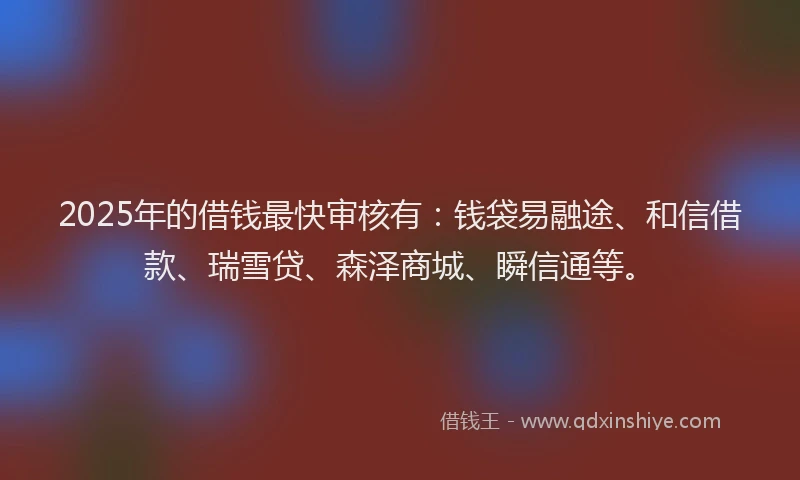2025年的借钱最快审核有：钱袋易融途、和信借款、瑞雪贷、森泽商城、瞬信通等。